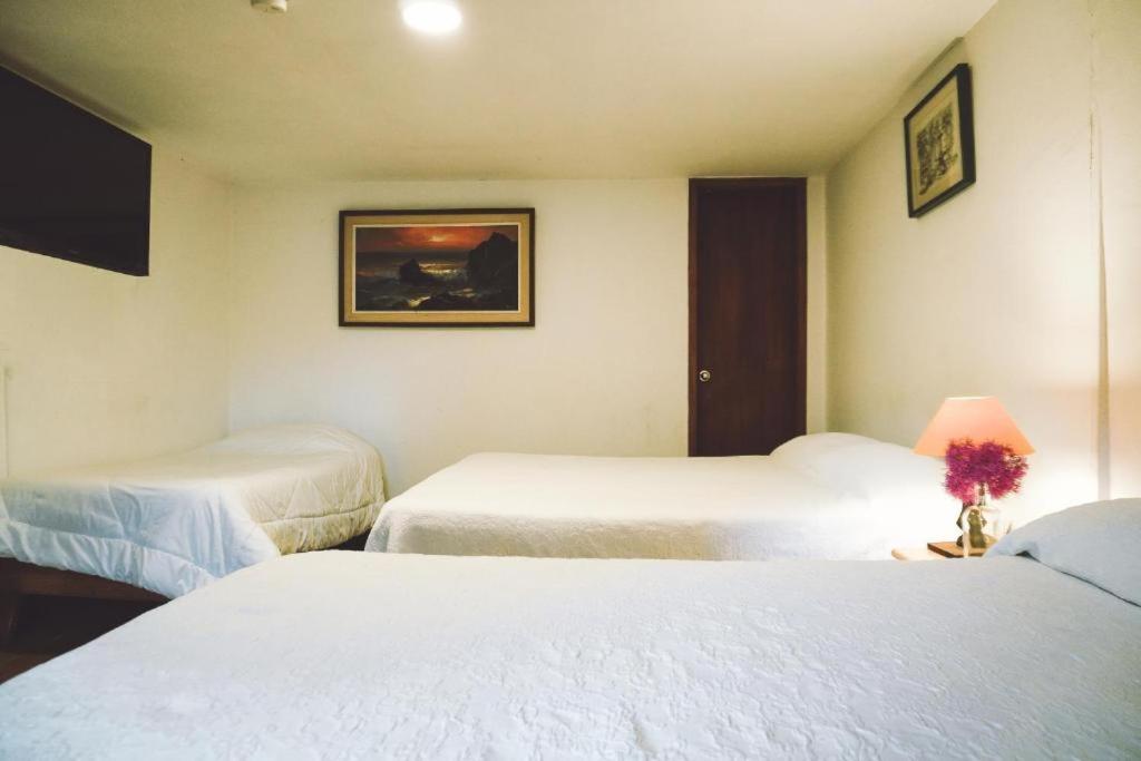 Hostel Casa Del Arupo Quito Zewnętrze zdjęcie