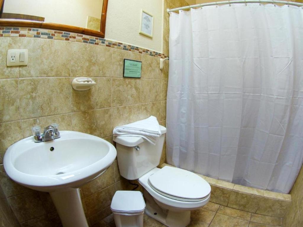 Hostel Casa Del Arupo Quito Zewnętrze zdjęcie